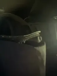 hizli_69 webcam model stream image