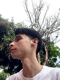 VicenteFerrer webcam model stream image