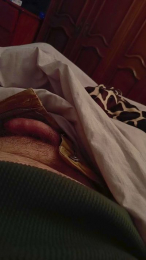 davidof3127 webcam cam4 model stream image