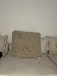 joeystaciee webcam model stream image