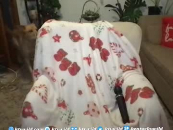 funcamkw webcam model stream image