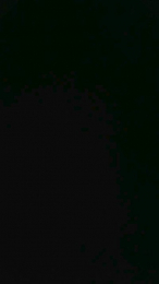 alexander21852 webcam model stream image