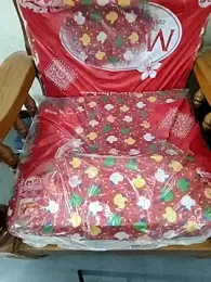 Swapna_kannada webcam model stream image