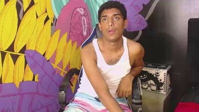 Zegmo webcam model stream image