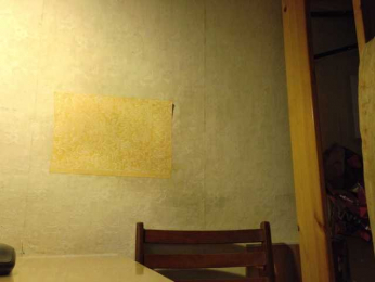 Frummi webcam bongacams model stream image