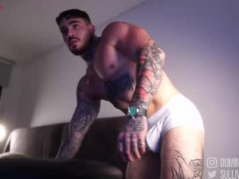 dominic_sullivan1 webcam model stream image