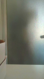 hotfire2 webcam model stream image