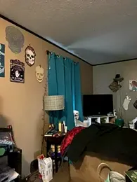 denverfwb webcam model stream image