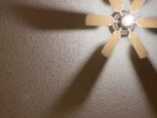 renothadon webcam model stream image