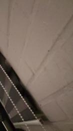 Aysack22 webcam model stream image