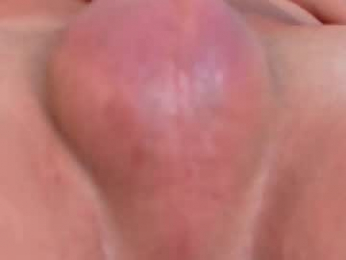 axel_evanss webcam model stream image