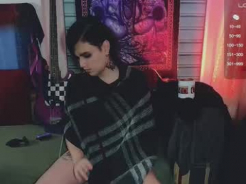 panther_cap webcam model stream image