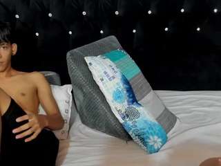 sebas-cat webcam model stream image