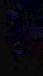 galgomrn4 webcam model stream image