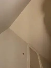 AllLeggs webcam model stream image