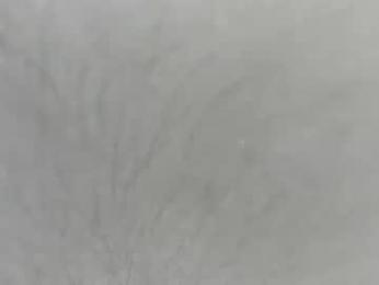 exoticmen_xxx webcam model stream image