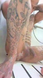 Qroy361 webcam cam4 model stream image