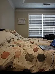 HollyTattoo webcam model stream image