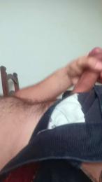 brunodegoas webcam model stream image