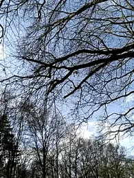 Nikeyone2 webcam model stream image