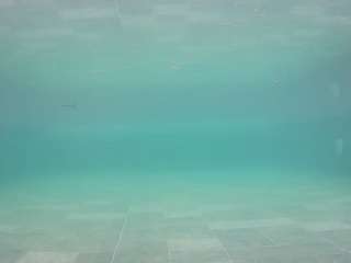 voyeurcam-casa-salsa-pool-1 webcam camsoda model stream image