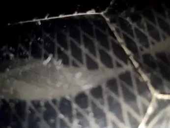 BrissPLUG8 webcam model stream image