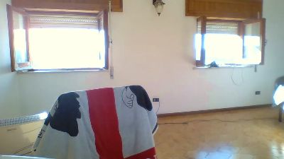 COBRAHARD webcam model stream image