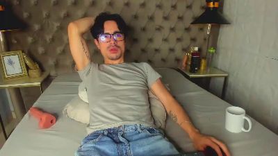 BryCams3 webcam model stream image