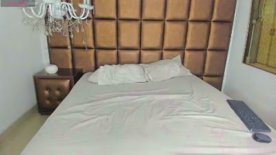 BryCams3 webcam model stream image