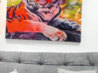 Dante Adamss webcam model stream image