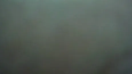 CleverPitzimitzi webcam model stream image