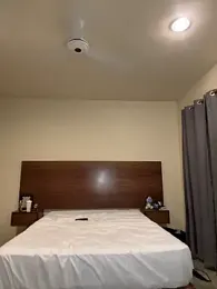 Sashailardi webcam model stream image