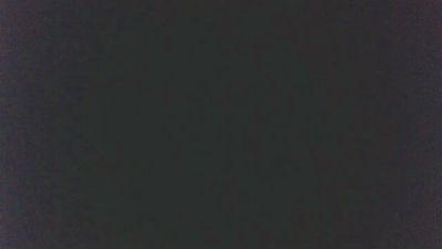 HotDogXL webcam model stream image