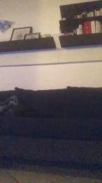 Alex77777777 webcam model stream image