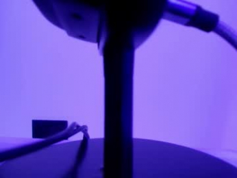 shelsy_loreds webcam model stream image