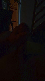 Frxh webcam model stream image