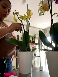 PUSHYLATE webcam model stream image