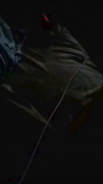 Jovenpalermo89 webcam model stream image