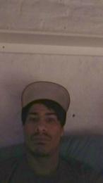 Wolfplayer21 webcam model stream image