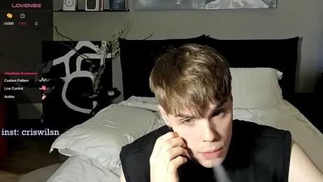 simonvnl webcam model stream image