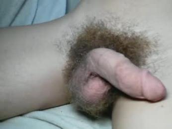 slimhungyvng webcam model stream image