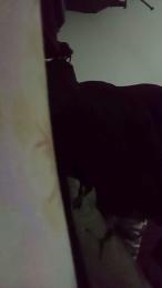 electrnico_xxx webcam model stream image