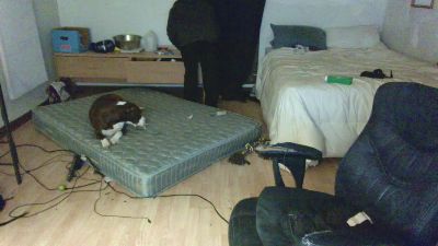 flockhart webcam model stream image