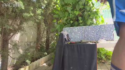 tanto22 webcam model stream image