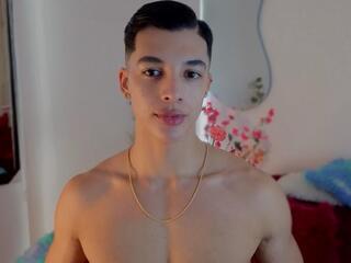 Troye Williams webcam model stream image