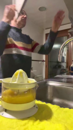 Sluis52 webcam model stream image