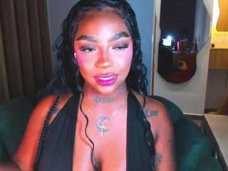 teerry webcam model stream image