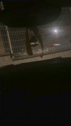 sexdurosexy webcam cam4 model stream image