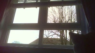 scotlad52 webcam cam4 model stream image