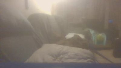 roro1947 webcam model stream image